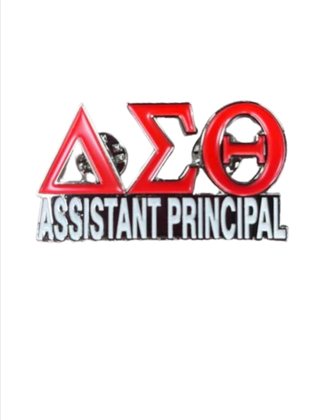 Delta Sigma Theta Career Pins - Changemakers