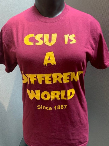 HBUC CSU IS A Different World
